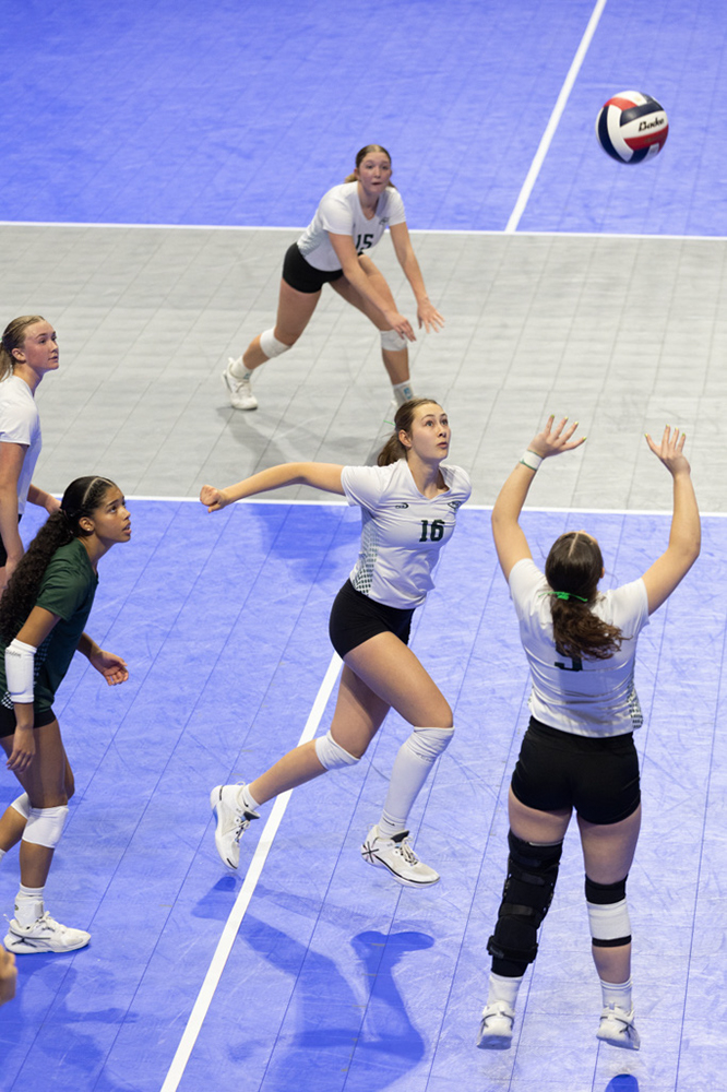 %_tempFileName1M6A1339%