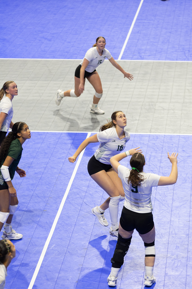 %_tempFileName1M6A1341%