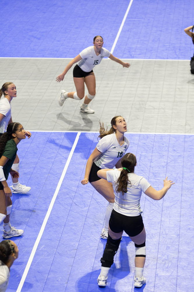 %_tempFileName1M6A1342%