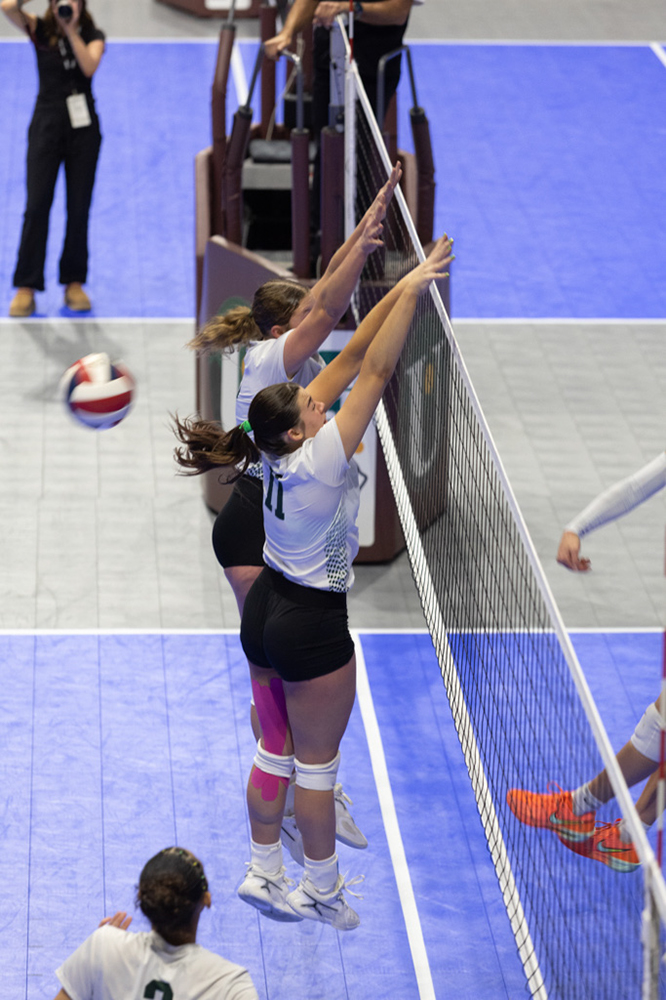 %_tempFileName1M6A1389%