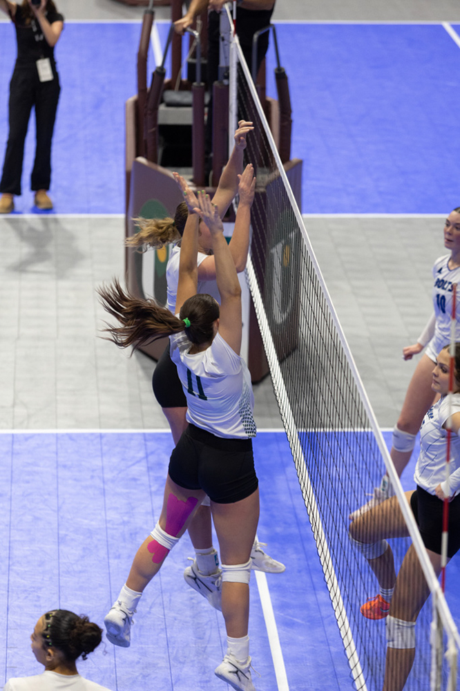 %_tempFileName1M6A1392%