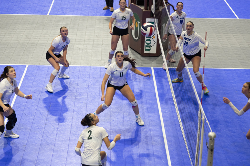 %_tempFileName1M6A1408%