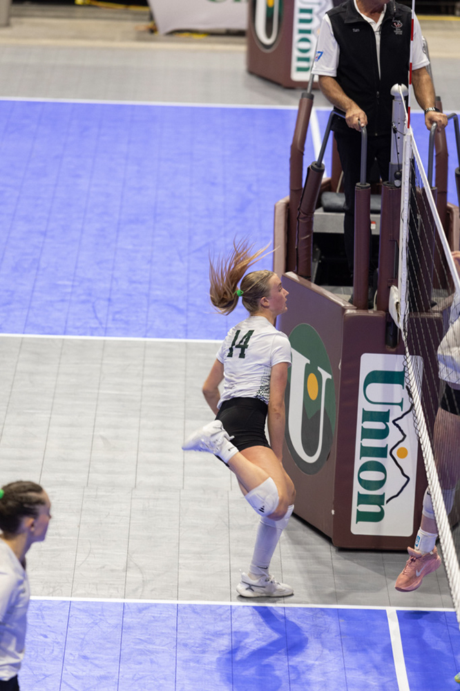 %_tempFileName1M6A1595%