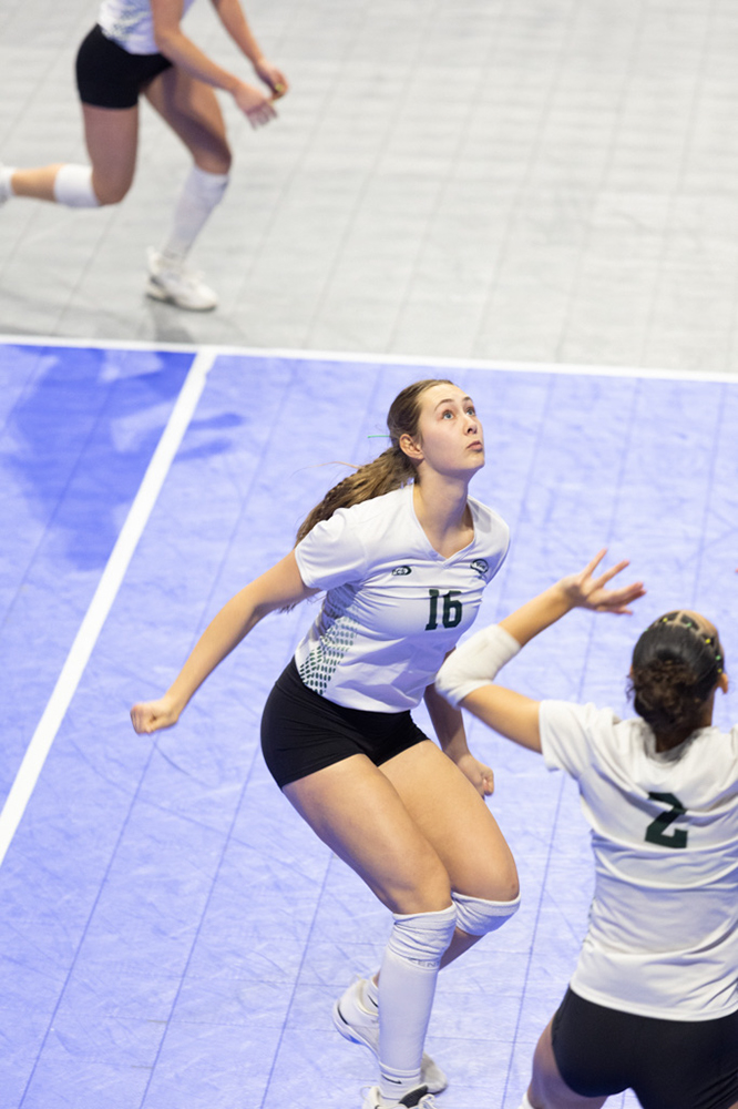 %_tempFileName1M6A1641%