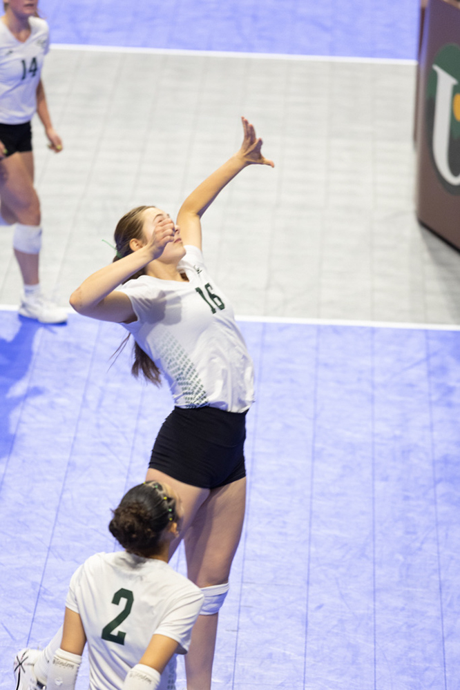 %_tempFileName1M6A1646%