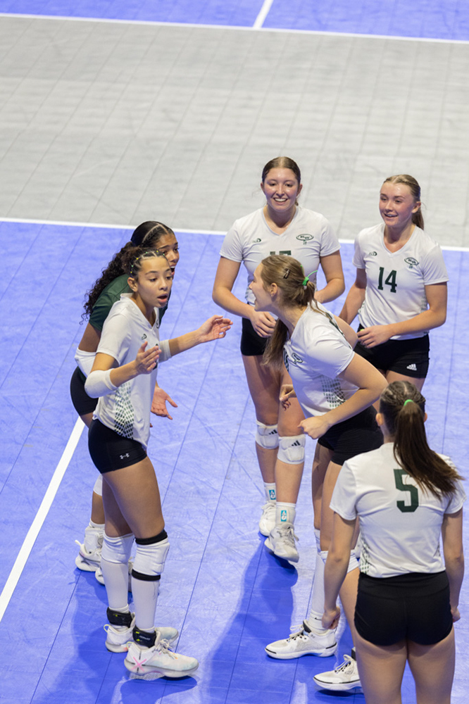 %_tempFileName1M6A1684%