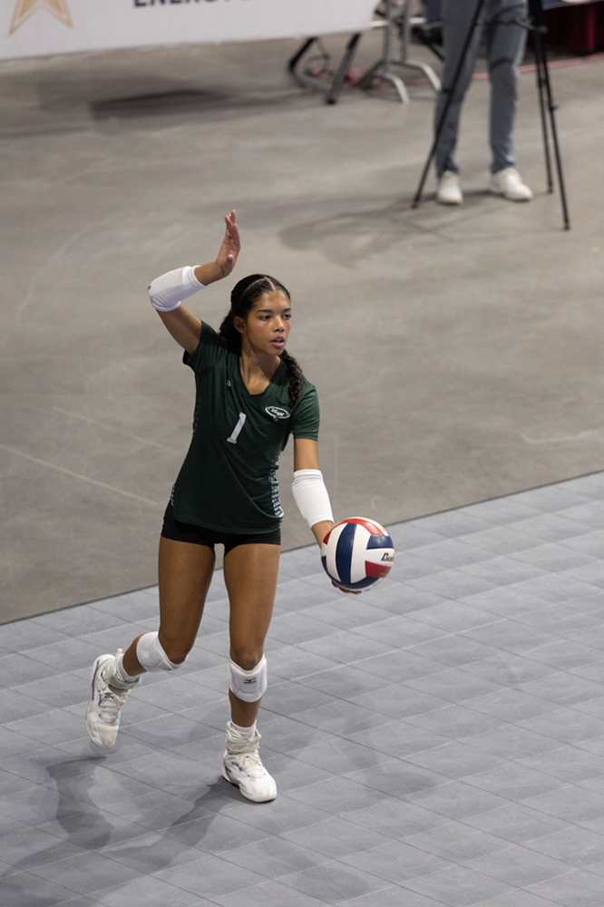 %_tempFileName1M6A1691%