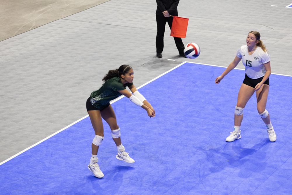 %_tempFileName1M6A1713%