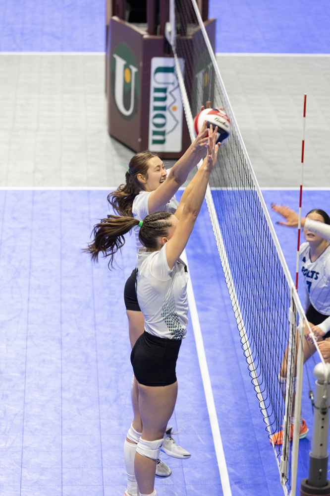 %_tempFileName1M6A1733%