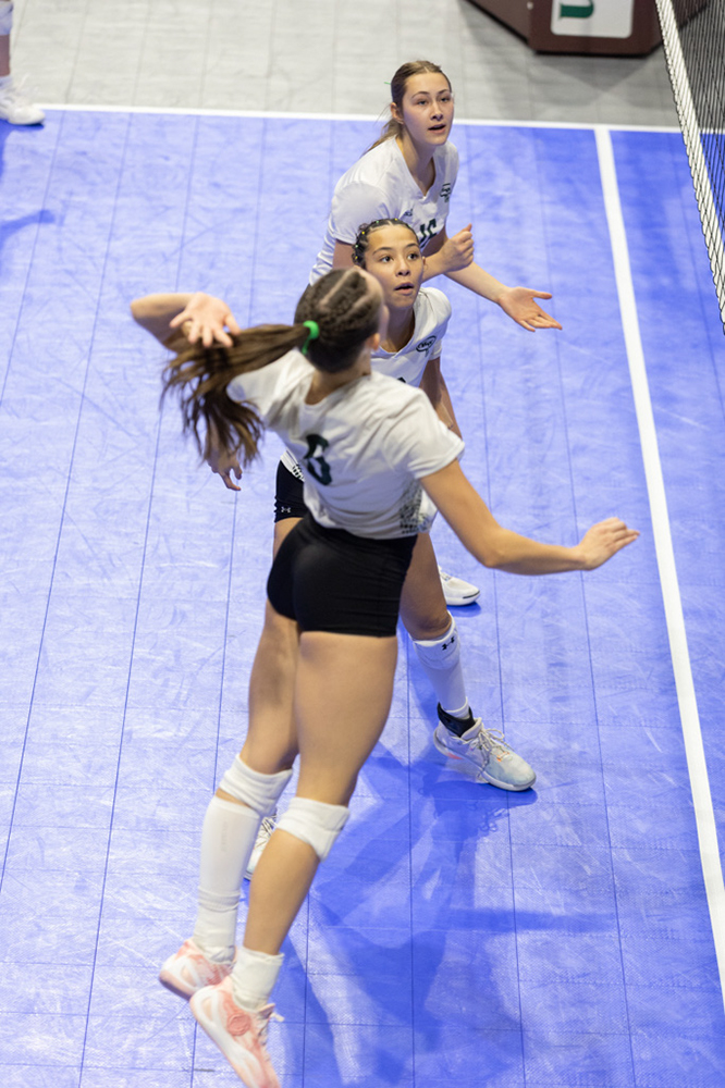 %_tempFileName1M6A1765%