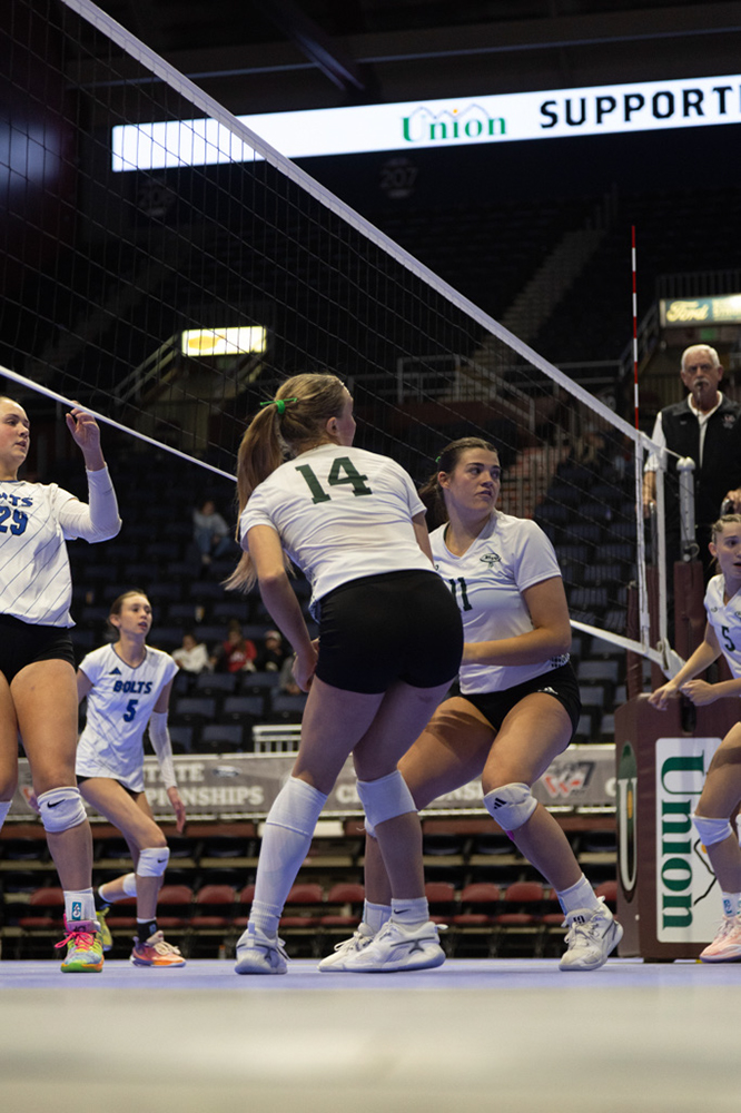 %_tempFileName1M6A1928%