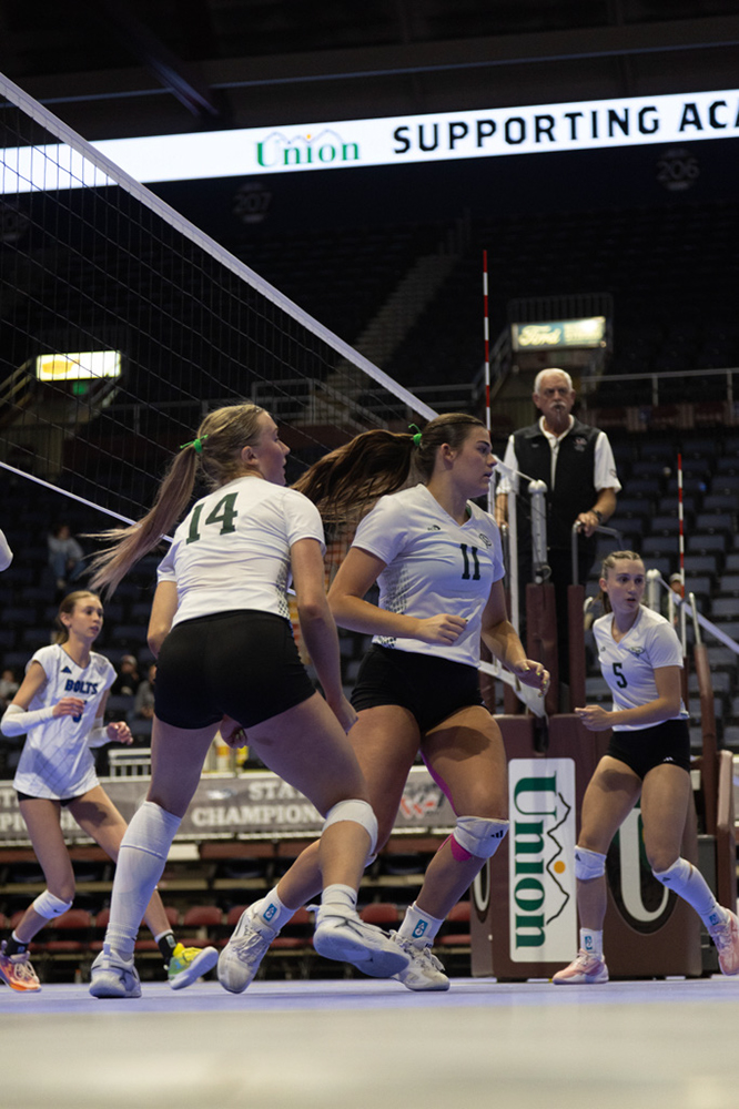 %_tempFileName1M6A1931%