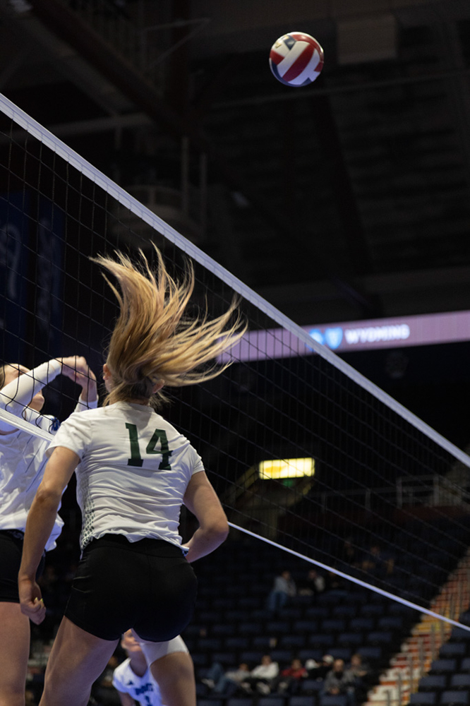 %_tempFileName1M6A1943%