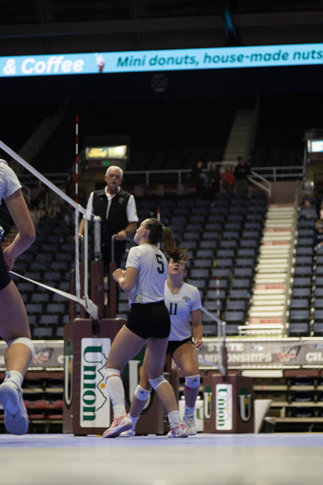 %_tempFileName1M6A1951%