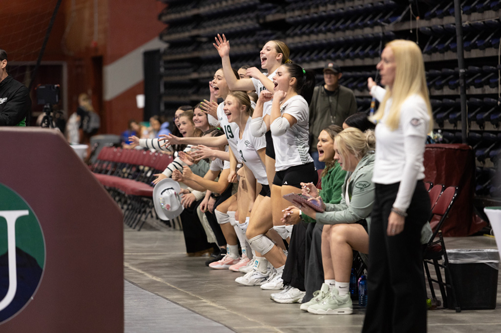 %_tempFileName1M6A2038%