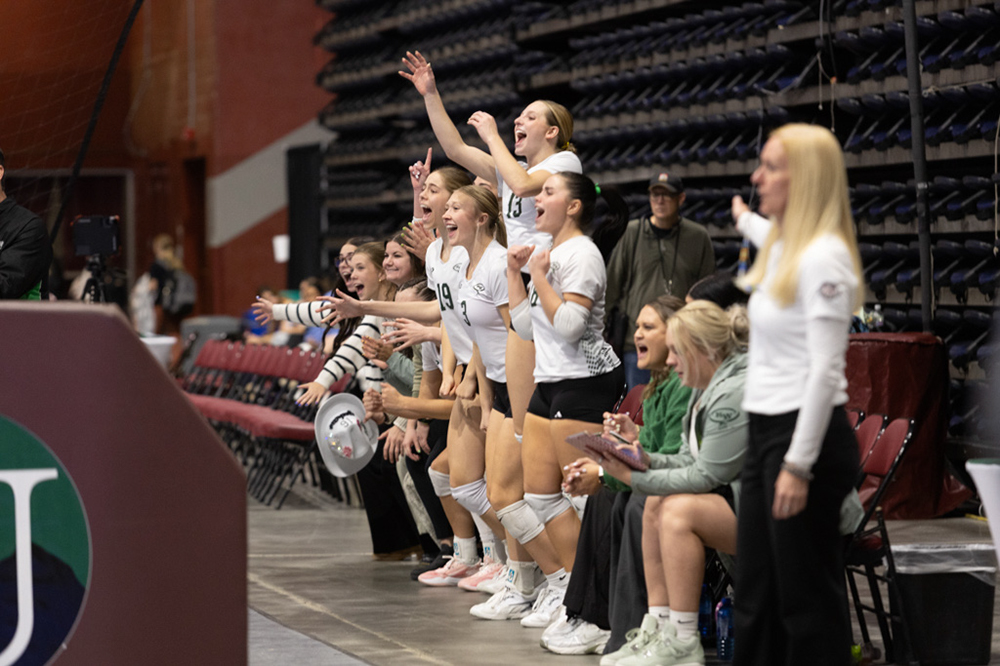 %_tempFileName1M6A2039%