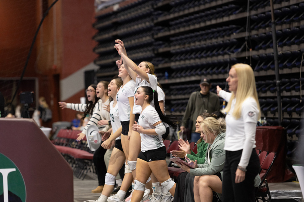 %_tempFileName1M6A2043%