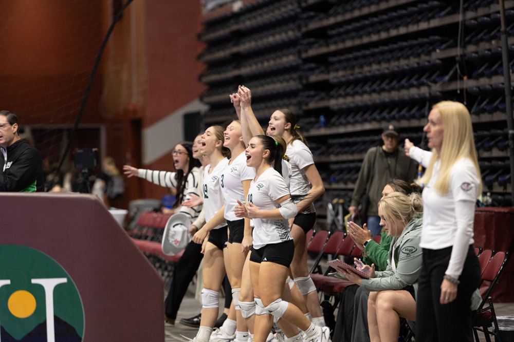 %_tempFileName1M6A2045%