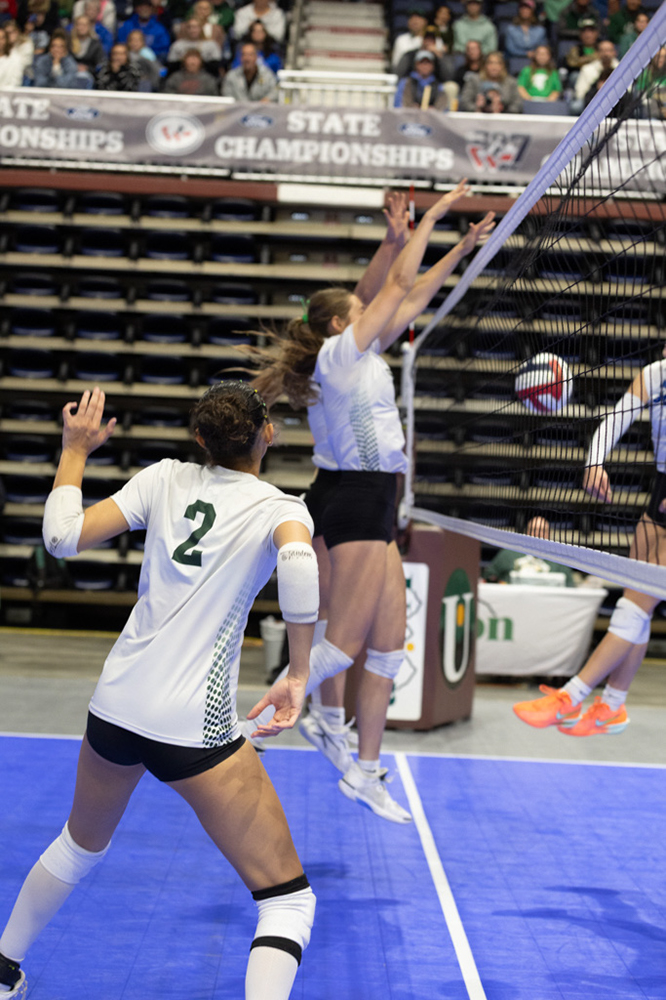 %_tempFileName1M6A2061%