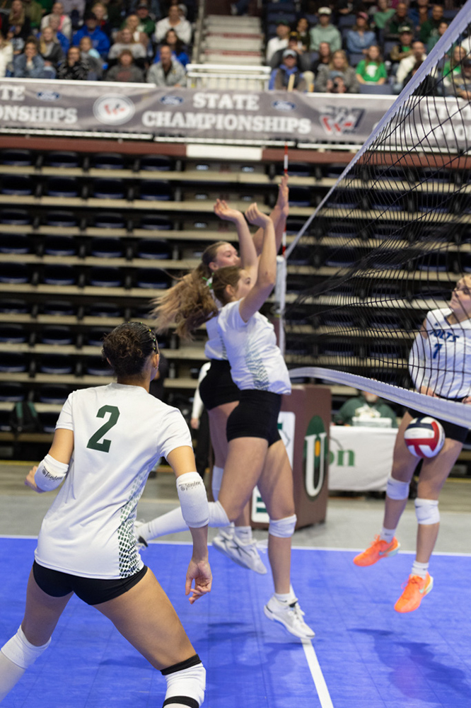 %_tempFileName1M6A2063%