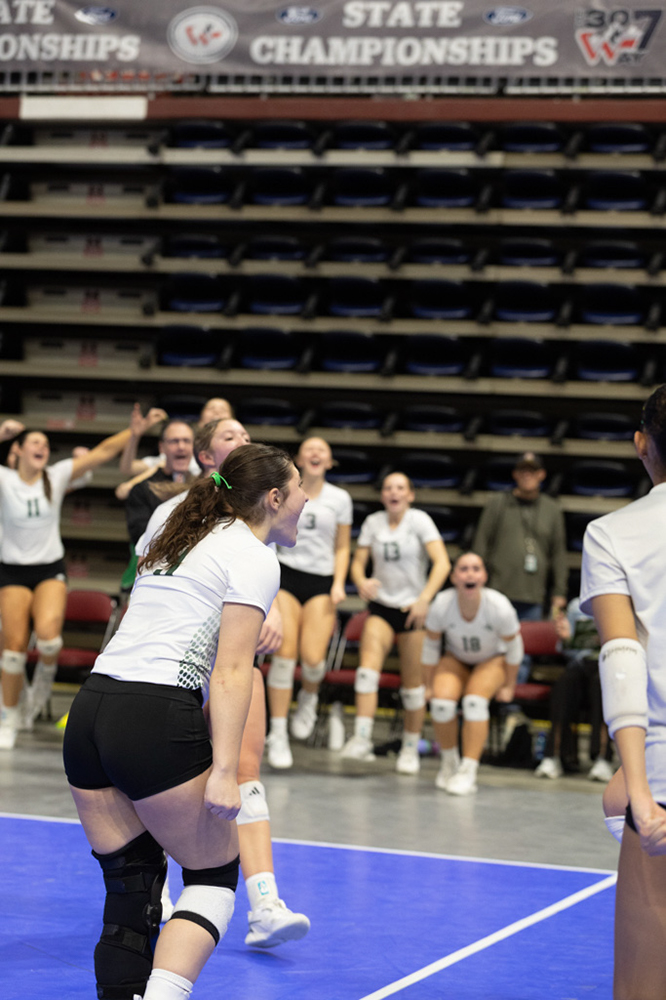 %_tempFileName1M6A2079%