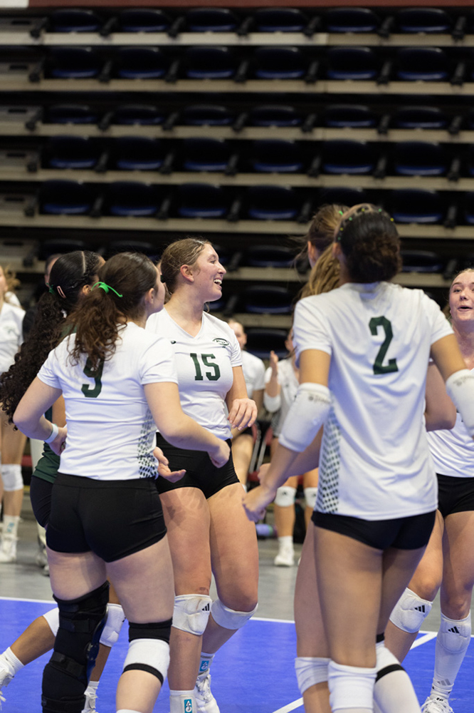 %_tempFileName1M6A2091%