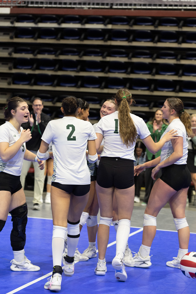 %_tempFileName1M6A2113%