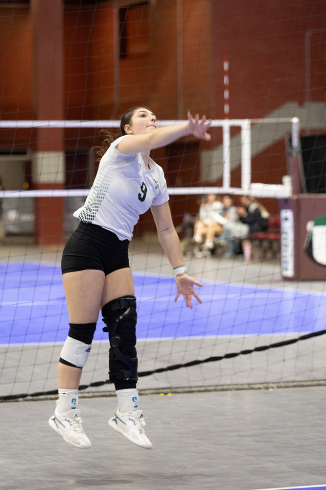 %_tempFileName1M6A2160%