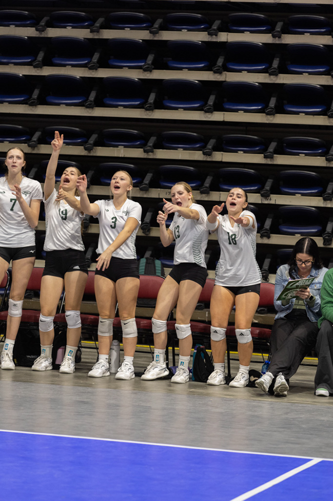 %_tempFileName1M6A2165%