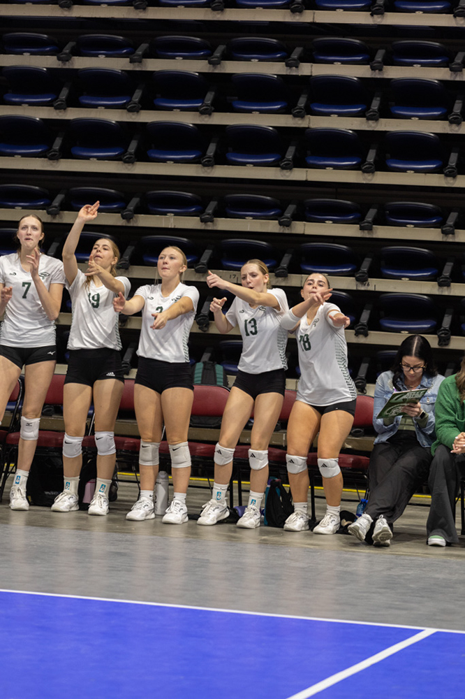 %_tempFileName1M6A2167%