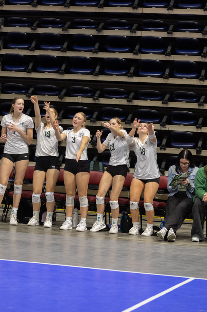 %_tempFileName1M6A2174%