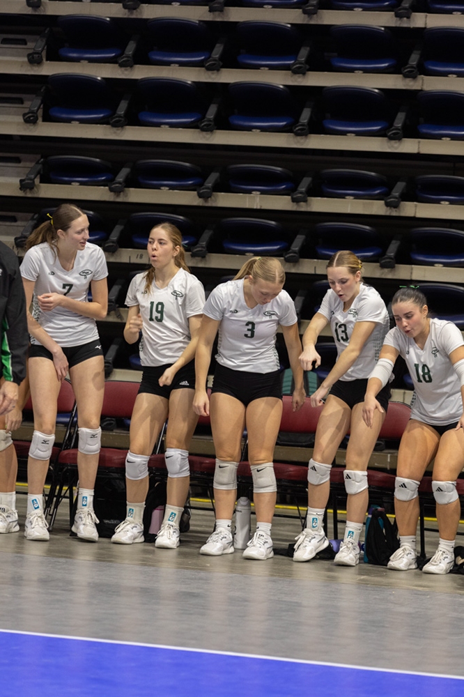 %_tempFileName1M6A2184%