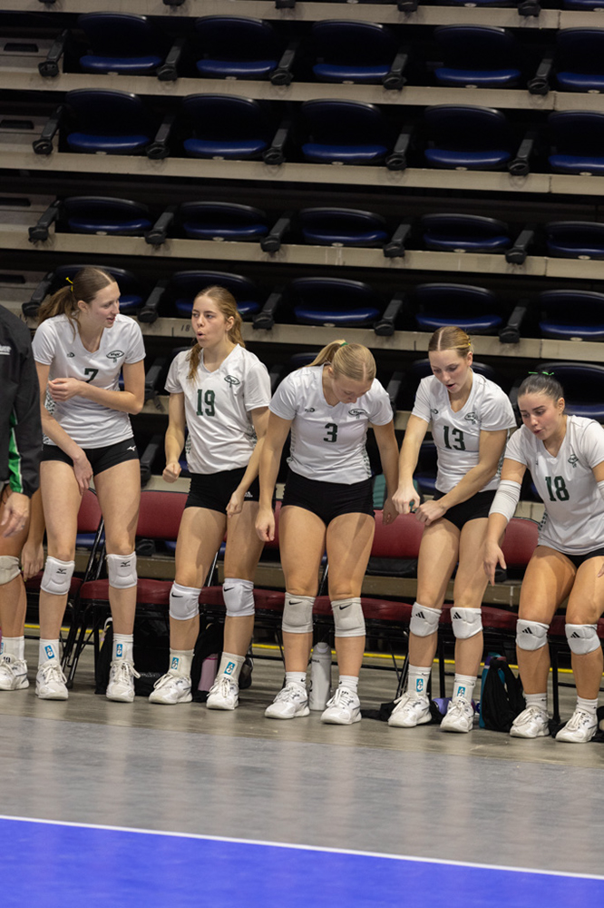 %_tempFileName1M6A2185%