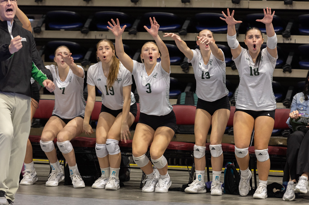 %_tempFileName1M6A2196%