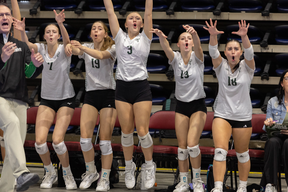 %_tempFileName1M6A2199%