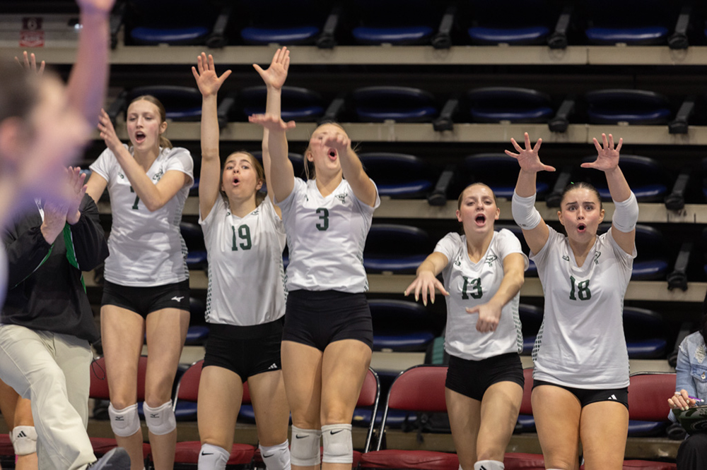 %_tempFileName1M6A2203%