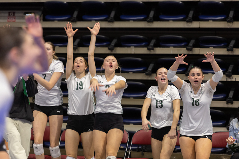 %_tempFileName1M6A2204%