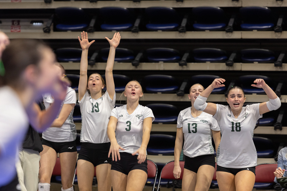 %_tempFileName1M6A2205%