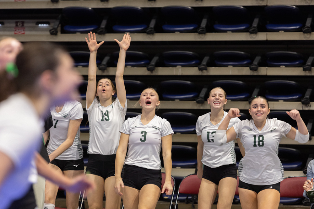 %_tempFileName1M6A2206%