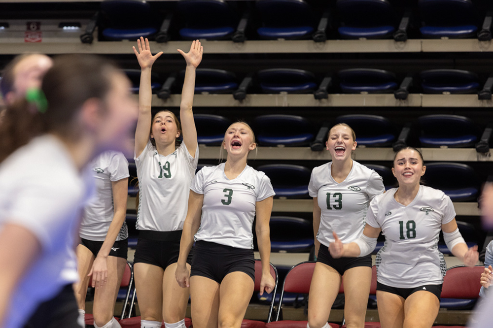 %_tempFileName1M6A2207%