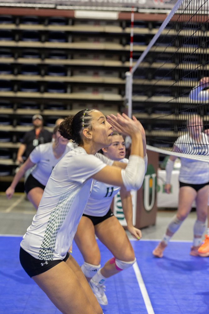 %_tempFileName1M6A2211%