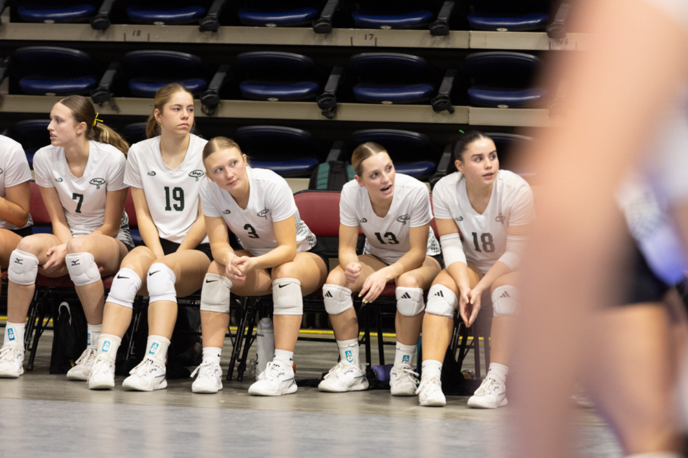 %_tempFileName1M6A2234%