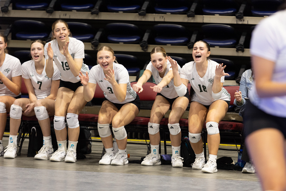 %_tempFileName1M6A2238%