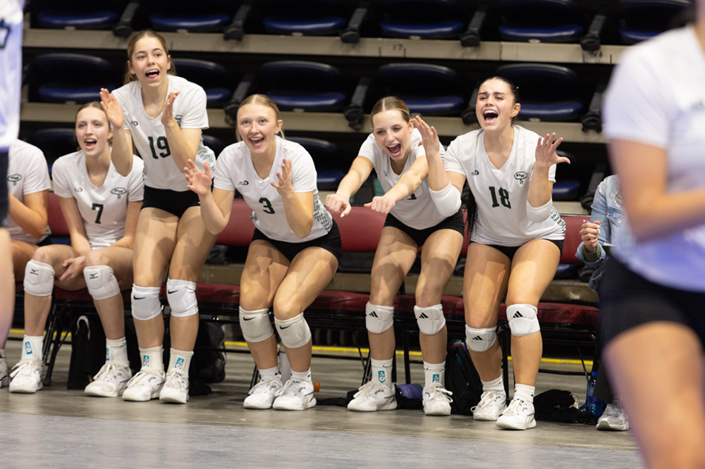 %_tempFileName1M6A2239%