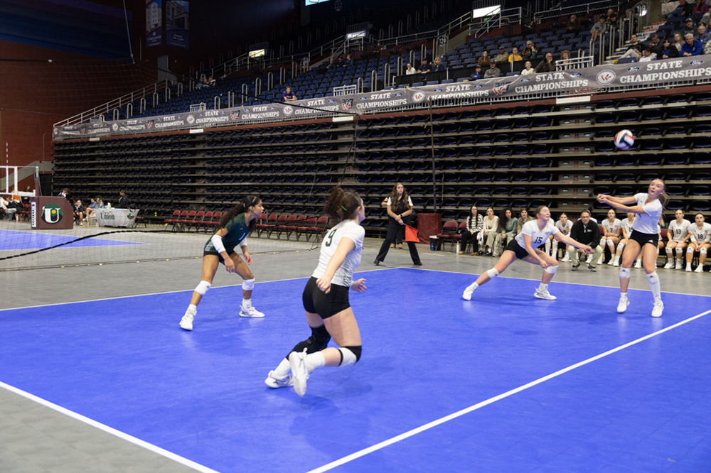 %_tempFileName1M6A2293%