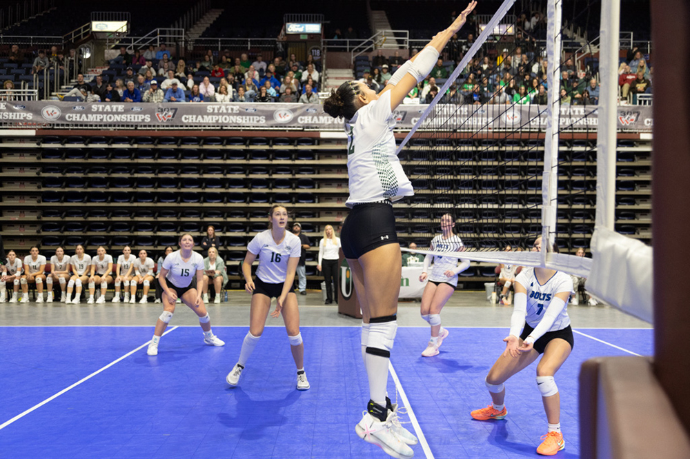 %_tempFileName1M6A2339%