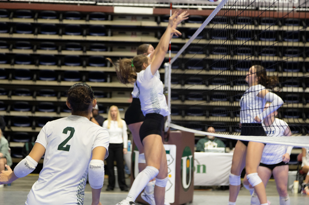 %_tempFileName1M6A2385%