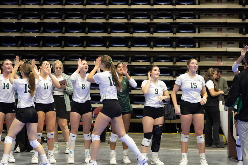 %_tempFileName1M6A2451%