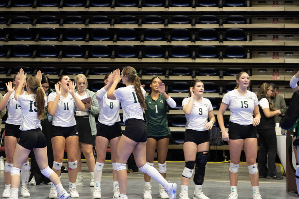 %_tempFileName1M6A2452%