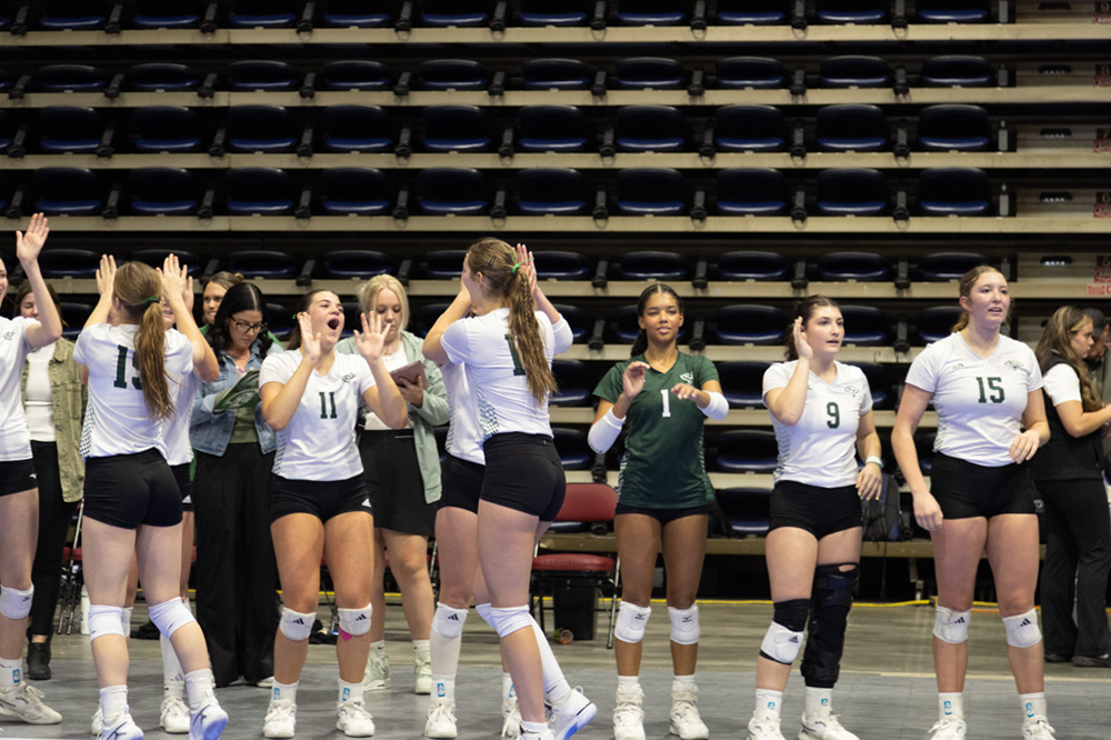 %_tempFileName1M6A2454%